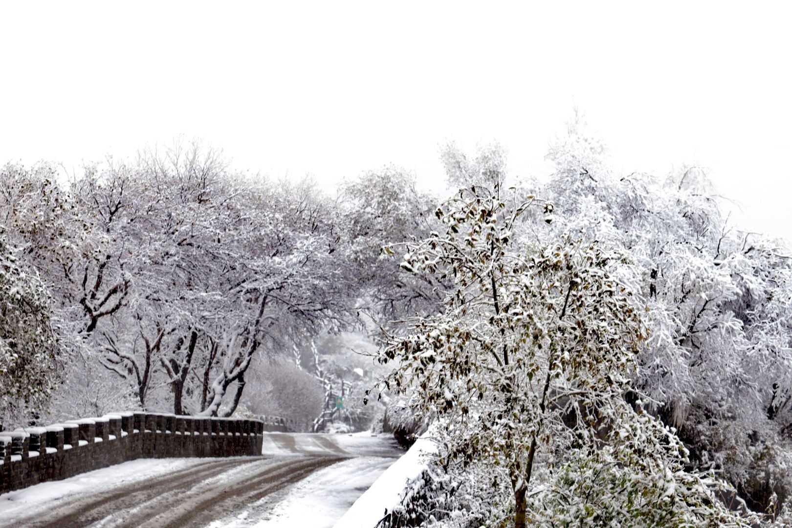 百花山|雪景与云海“同框”！今天的百花山美如仙境