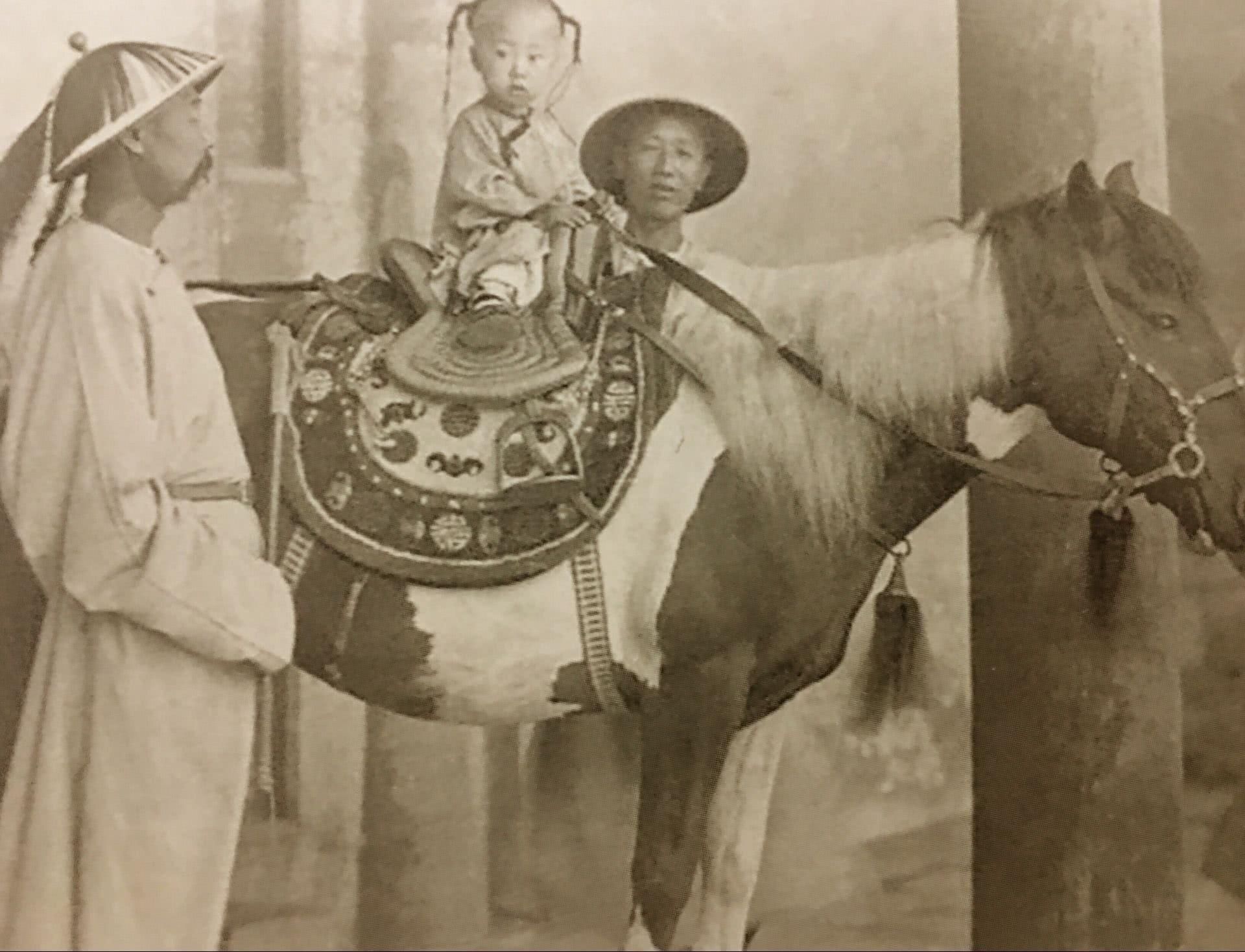 专家|清朝皇帝溥仪的学历究竟有多高?专家称:能让人望尘莫及