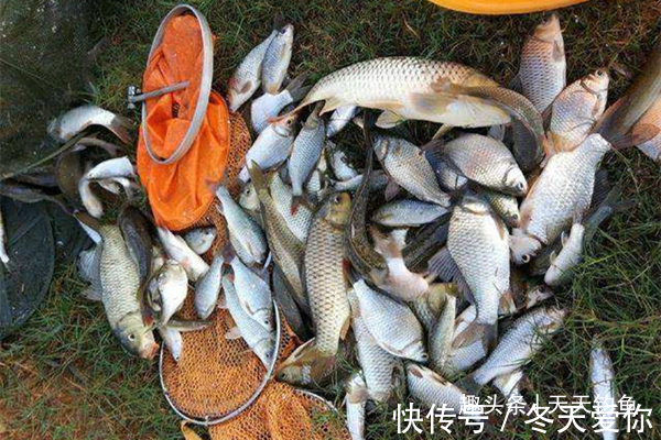 天气越冷越要找鱼窝,鲫鱼喜欢藏在这些地方,找准位置下钩就上鱼