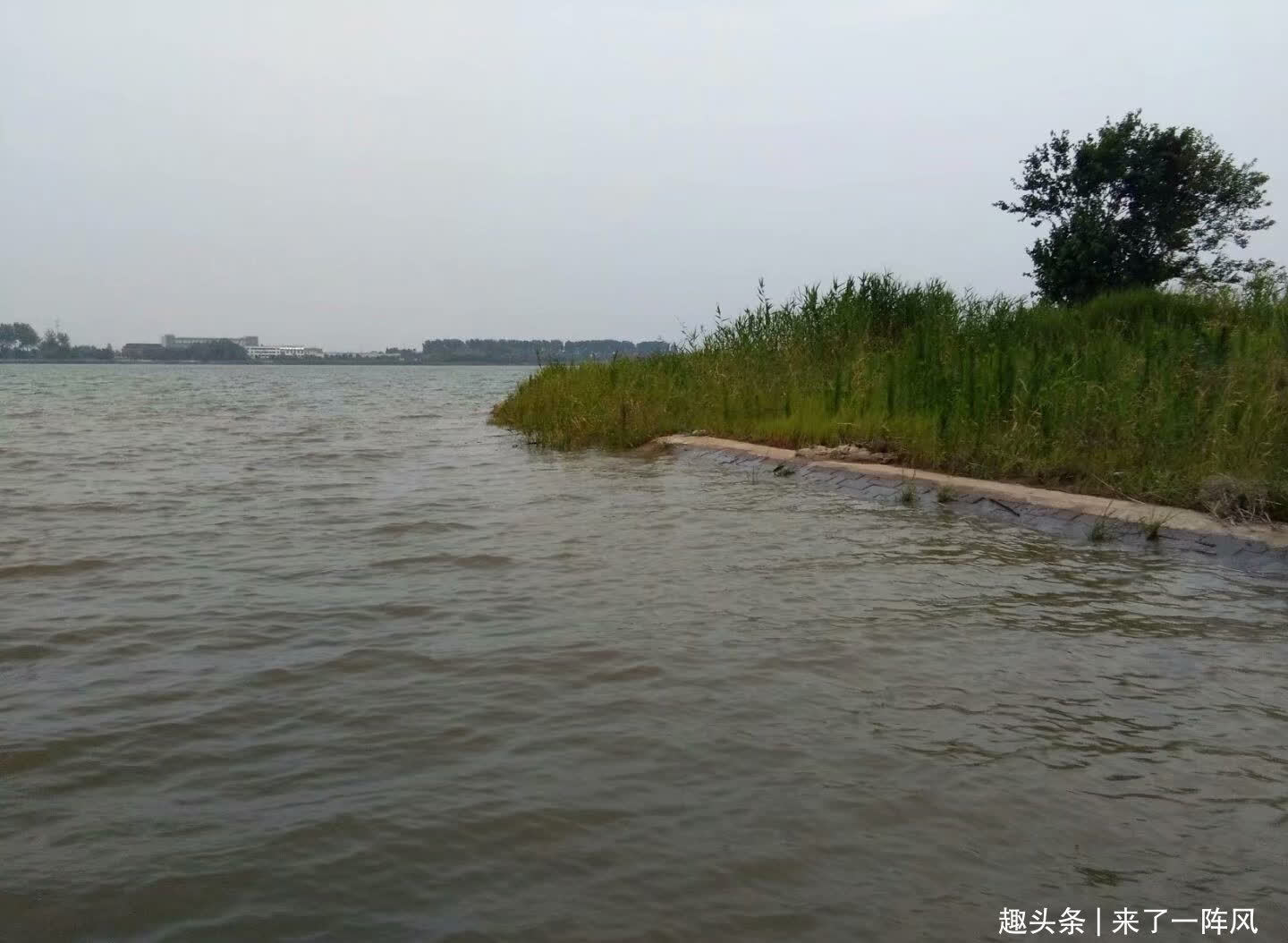 老家|长江禁渔10年,钓鱼人还能钓到鱼吗?听听钓鱼人怎么说?