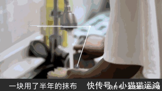 长毛|日子过久了才发现，有些东西不能冲动买回家，钱花了还不一定实用！