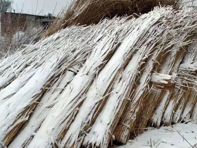 春雪初霁，唯美鄚州！