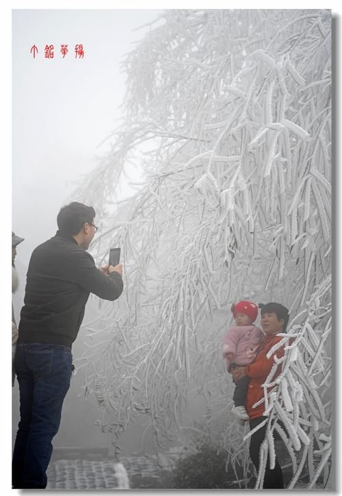 铅山|铅山葛仙山白雪皑皑，犹如冰雪童话世界