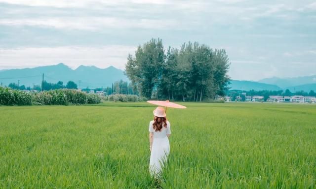 徐公&脾气要稳,定位要准,自律要狠