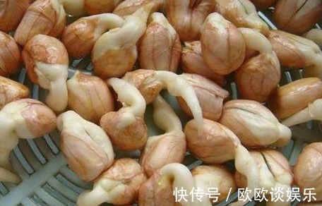 花生|此种食物发芽后,不仅没毒,营养价值还翻倍,很多人不清楚