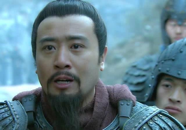 姜维|后主刘禅投降后，姜维怒骂9个字！倘若刘备有知，定会再摔老阿斗