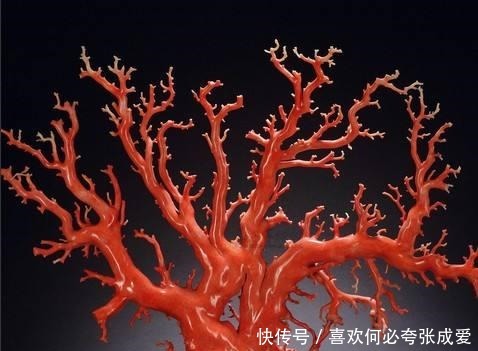 陪葬品|清东陵的陵墓基本被盗,为何孝陵独存,其实是“价值理论”在作怪!