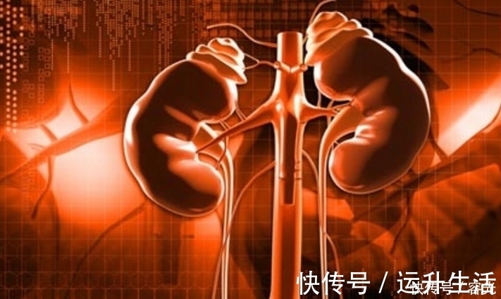 养肾|冬季养肾，别错过最佳时机，多吃3个“营养食材”，助你肾气满满