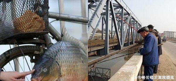 民间钓鱼人的“流氓式钓鱼”，不用钓饵的，每天照样获鱼几十斤