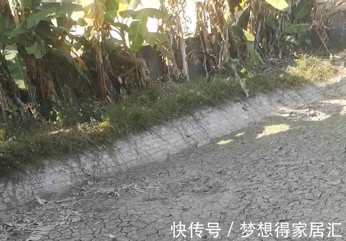 松针土|9种土别拿来养花,对花不好,容易黄叶烂根
