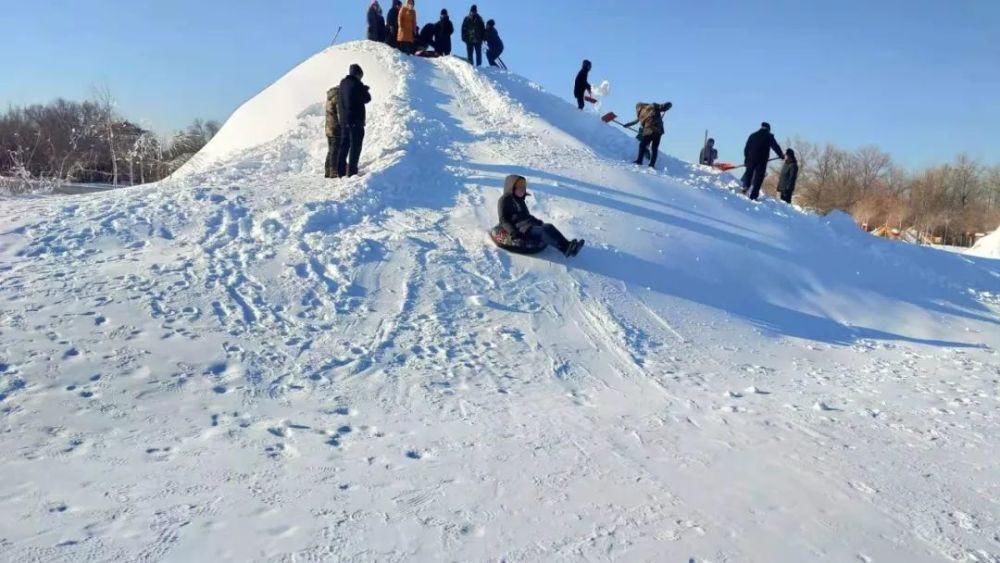 邂逅|这个冬天来金塔沙漠胡杨林，邂逅一场不一样的冰雪奇缘~