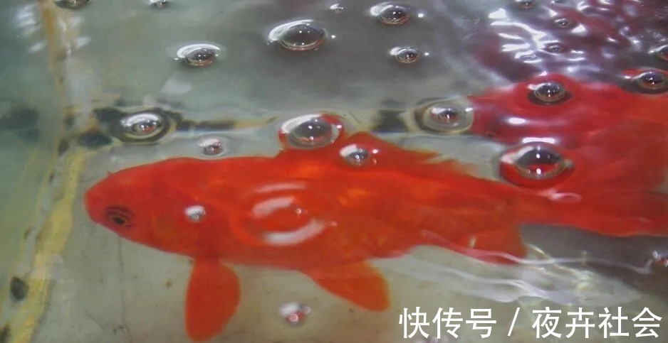 陌生水域找鱼的4个“独门绝技”,让你鱼口不停!钓鱼人一般都不想告诉别人!