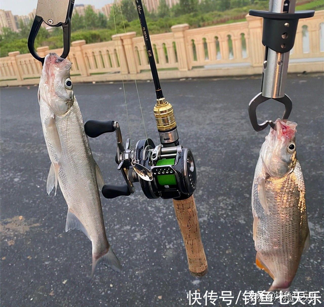 禁用|注意!12月1日起,这四类渔具将被禁用,钓鱼人要注意了