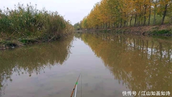 气泡|冬季钓鲫鱼,先找鱼窝再下竿,水下是否有鱼,从这两点可以看出来