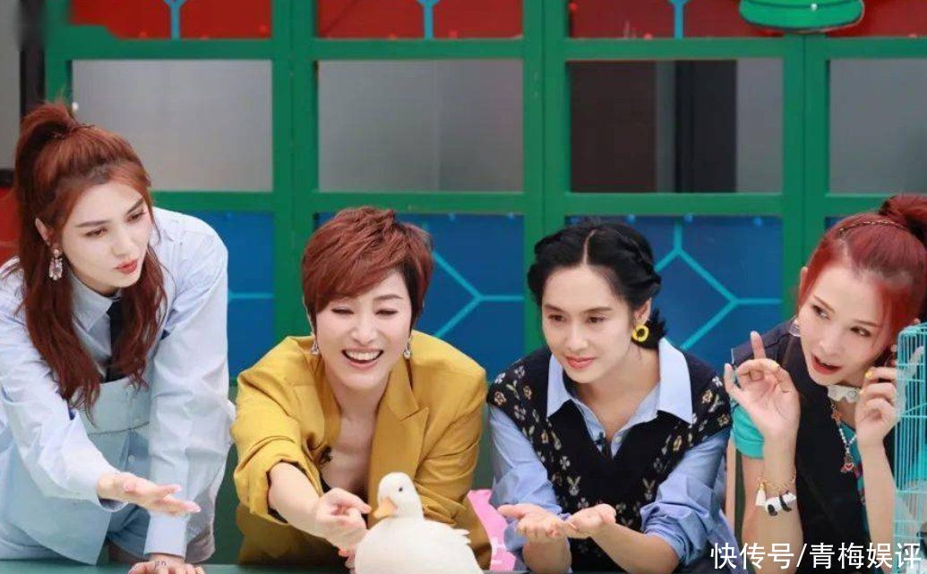 请吃饭的姐姐|这才是综艺该有的意义,蔡少芬用宠物的离开,告诉孩子人也是如此