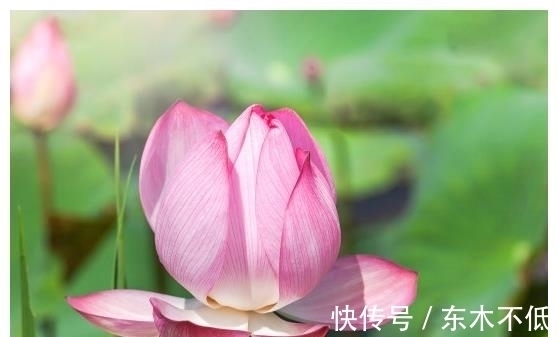 贵人|未来一个月,4属相有贵人提携,升职加薪,心情大好,生活无忧