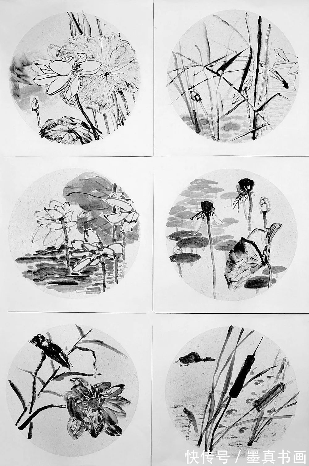 荷花写生稿&「韩延祥」|丹青追梦 水墨本色-中国当代书画名家个人云展览