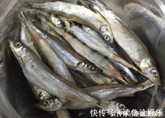 多春鱼|煎鱼时,记住2个要点,不管啥锅啥鱼,都不破皮不粘锅,鱼肉鲜嫩