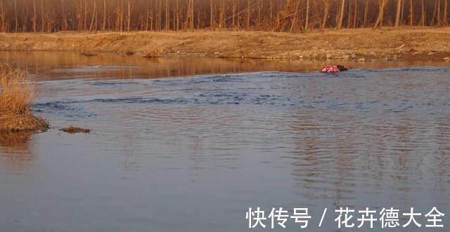 野钓|野钓想要钓到大鱼,至少你得做到几点