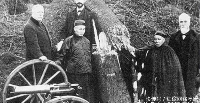 马克沁|李鸿章眼见马克沁机枪扫断大树，为啥没买？一句话戳中痛点