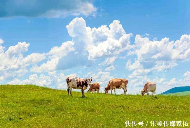 婚礼宫|异域风情的欧式风格城市，中国居然有