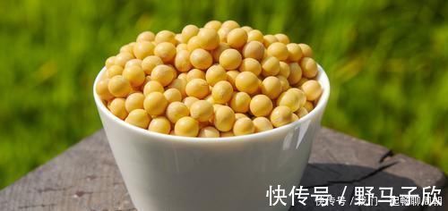 翻倍|告诉家人:2种蔬菜发芽后不仅没毒,营养价值还翻倍,丢掉可惜