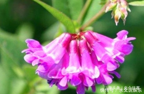 净化|女性要排毒,离不开4种食物,排出毒素,净化血液,滋养女性子宫