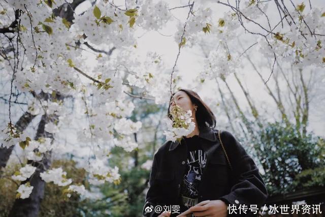 有了这些拍照背景,你便人见人爱花见花开!