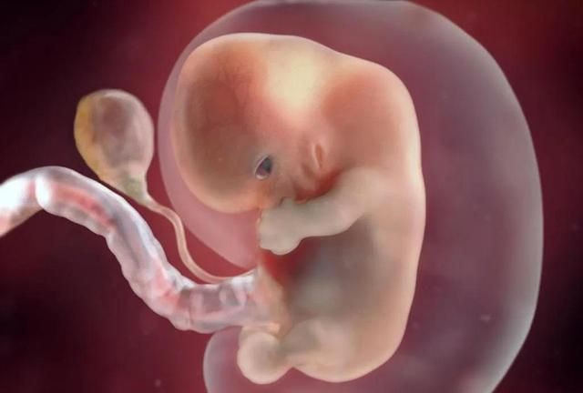 反应|怀孕后,从身体的这四个反应中,看羊水的质量好坏,孕妈要会辨别