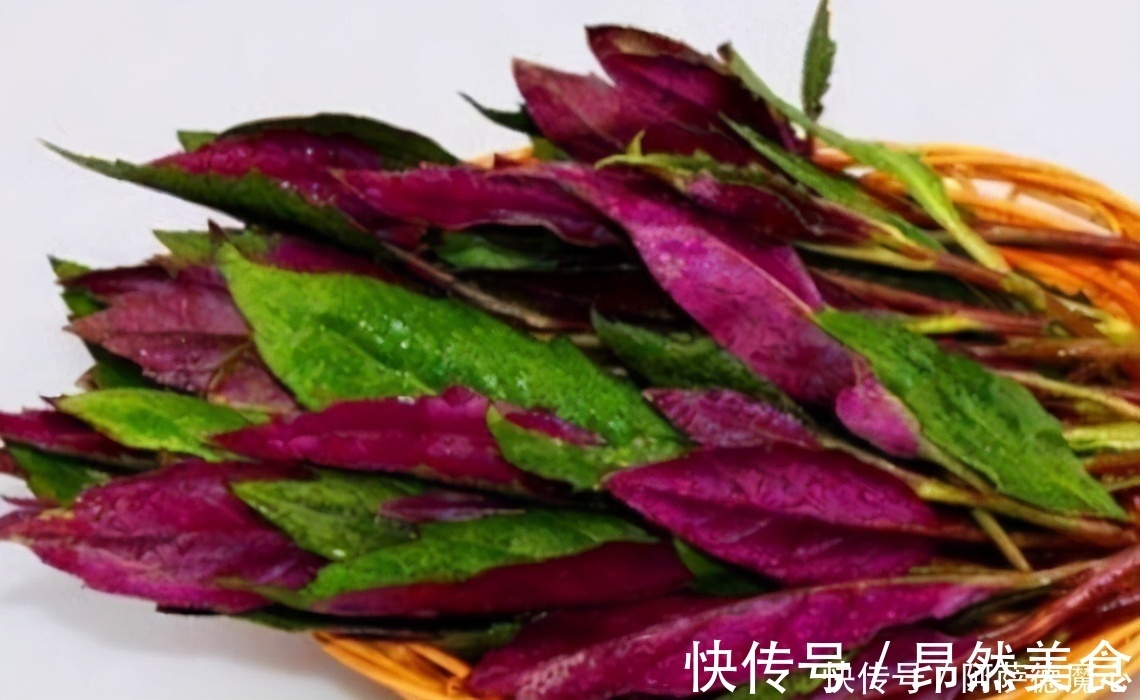 水桶腰|女人不想大肚子水桶腰,冬天吃3种食物,刮油清脂,排出宿便