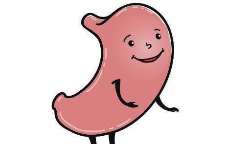 小米花生粥|俗话说:“胃要3分治7分养”,胃不舒服,常吃3物,养胃又护胃