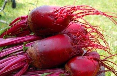 枇杷|人到中年想长寿,多吃的食物,养颜护肤、清理肠道,爱吃就赚了