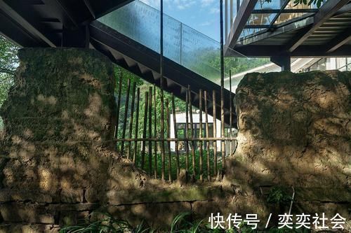 草木|他归隐山林,租了栋800㎡废弃三合院,改造后,却让网友羡慕不已