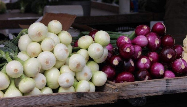 买洋葱,紫皮白皮哪个好!老菜农说漏嘴,2种区别大,别再买错了