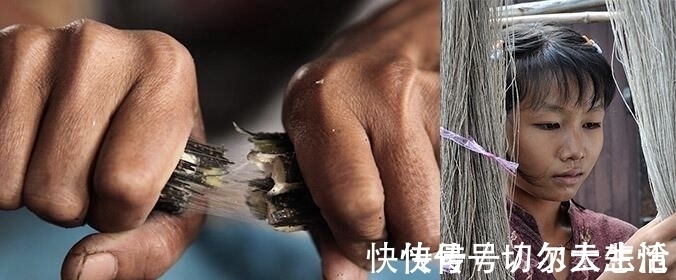 loro 卷福基努里维斯,在打造绅士这点上心有灵犀