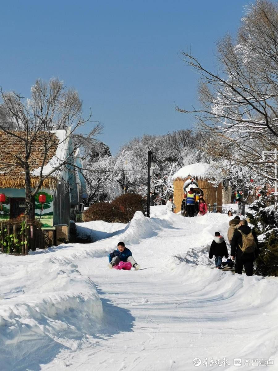 跑马岭|虎啸春来丨春节期间，来跑马岭感受沉浸式冰雪乐园