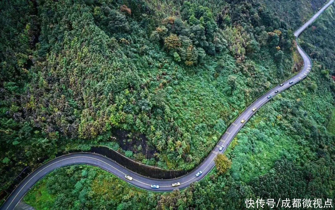 都江堰这片红枫林美炸了，趁着清明假期来打卡