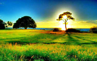 一日三餐|人到中年要养生，三个坚持，两个不要，一个畅通，为你助力