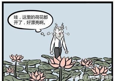荷花池|非人哉哪吒扎根于荷花池,交到大荷和小花,敖烈不懂植物的兴趣