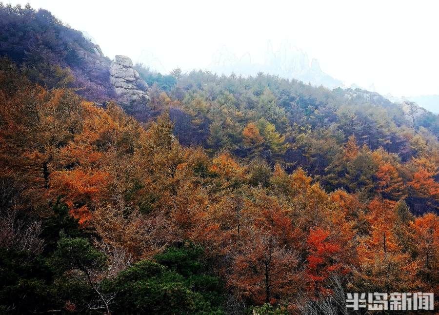 何毅|崂山秋韵浓