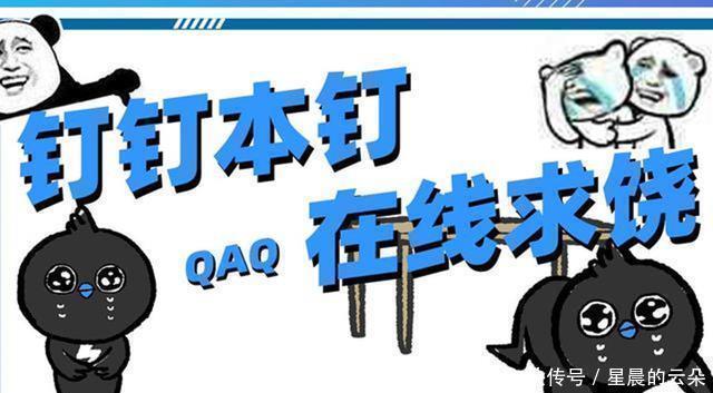 二次元|当二次元侵入现实世界,喵剑客太帅,钉娘统领“网课大军”