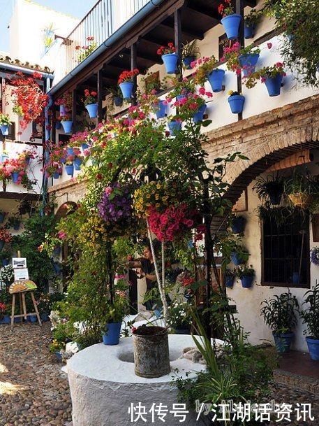 不一样的“庭院花园”,花草都上了墙