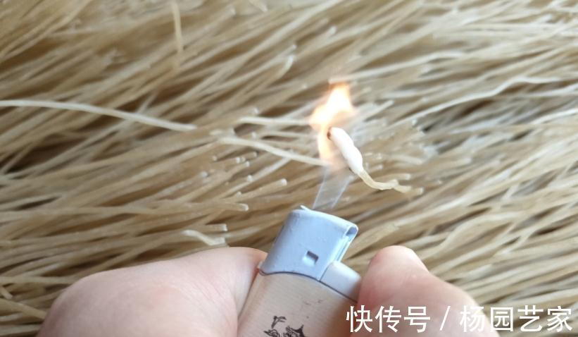 买粉条，内行人专挑“这4点”，回回挑到优质粉条，商家直呼内行