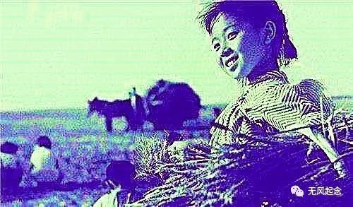 大默和尚&70年代女飞贼:拜高僧为师,练就一身轻功,还偷走老师毕生积蓄