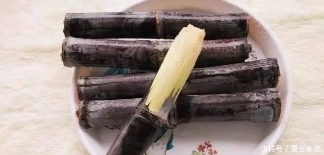 祛湿|夏天排湿毒，经常吃这5种食物，让你一身轻松