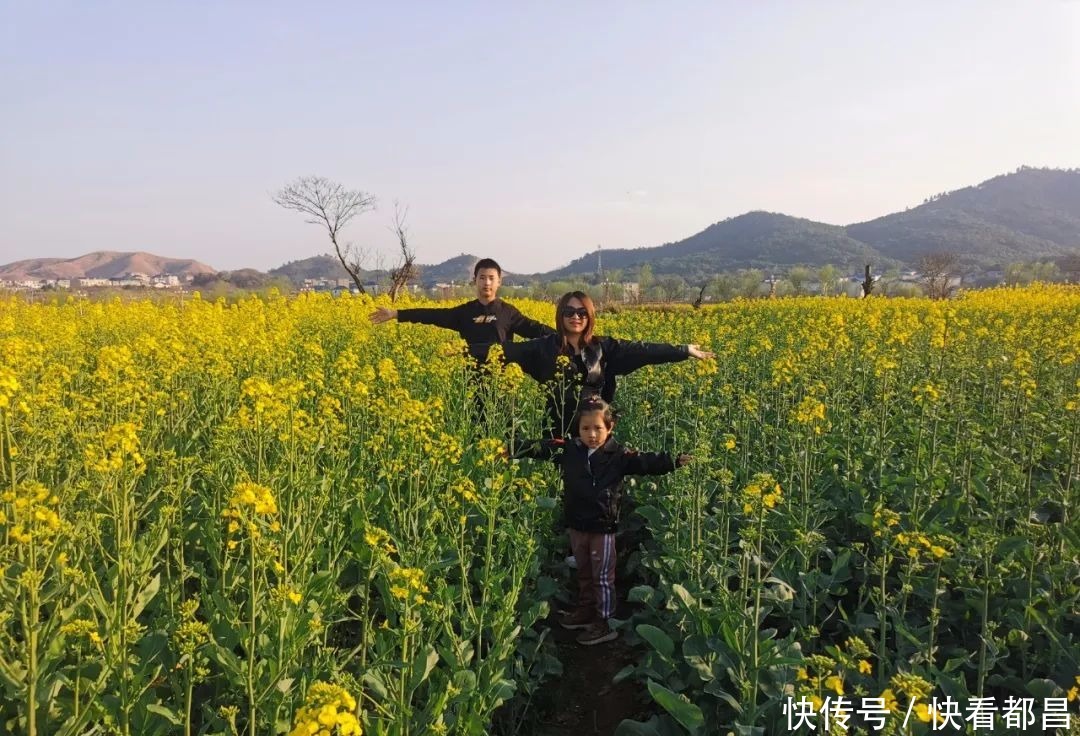 都昌30万亩油菜花竞相绽放，吸引众多游客踏青赏花！