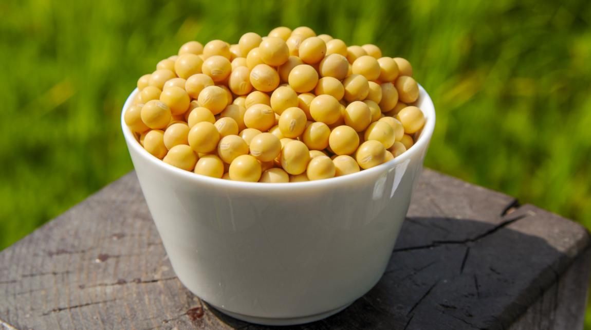 揭密|赛艇运动员饮食大揭密，营养学家告诉您