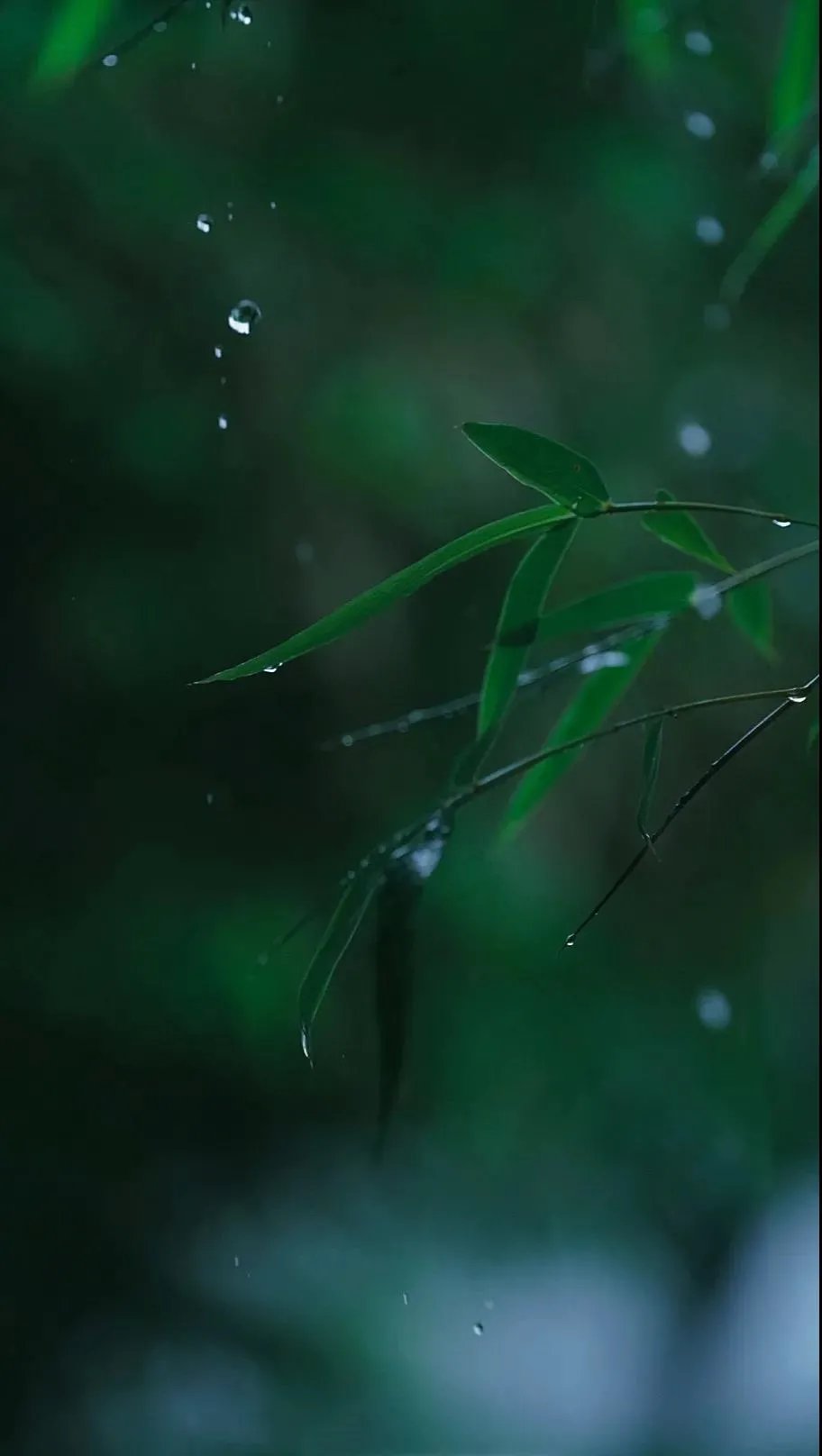 黄鹂深树鸣|韦应物，独怜幽草涧边生