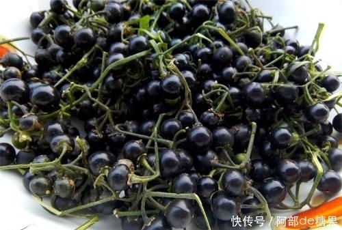 提个醒|提个醒:农村大山碰到此种野果,记得摘回家,有着大用处