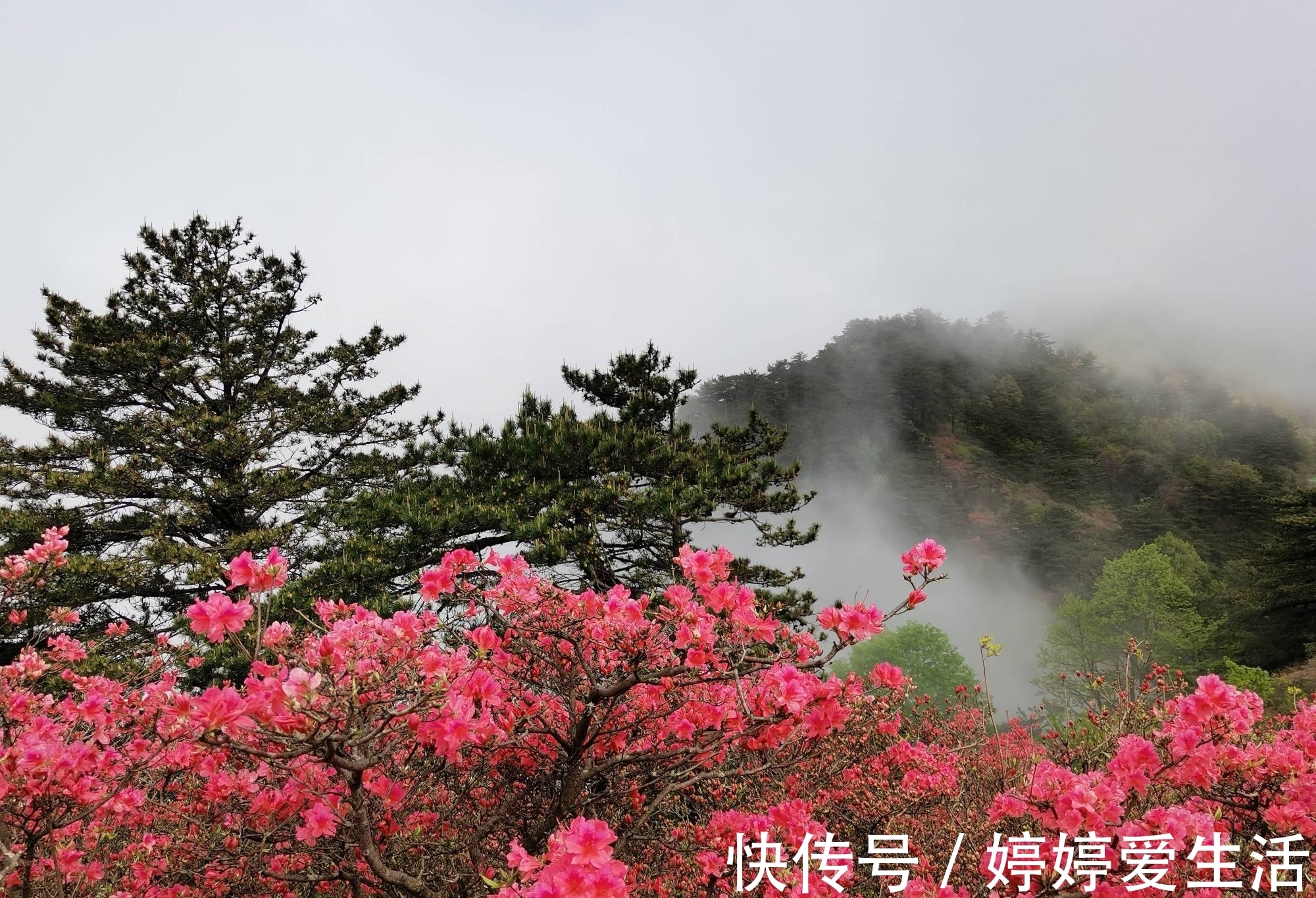 景点|湖北这座山最适合散心，占地十万亩，形状奇特，被赞天下第一龟？